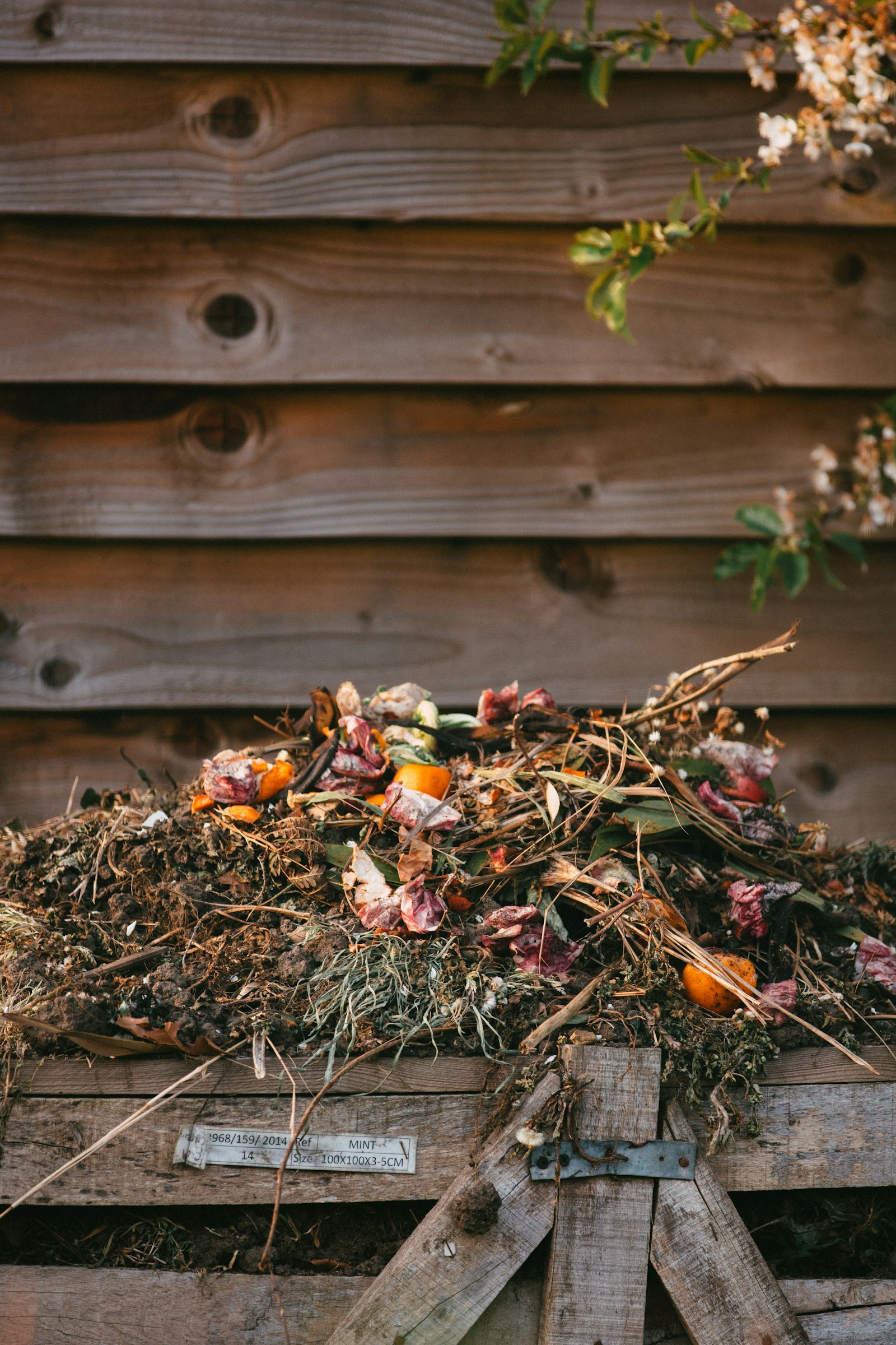Mano vertiendo restos de fruta y verdura sobre una pila de compost